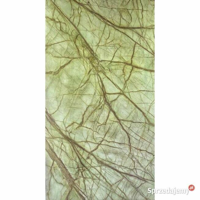 Fornir Transparentny Rainforest Green tapeta 244x122x0,2cm