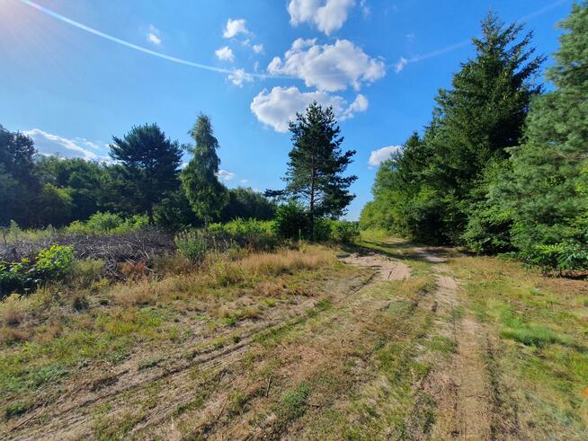 Działka budowlana Stefanówka gm. Wiązowna