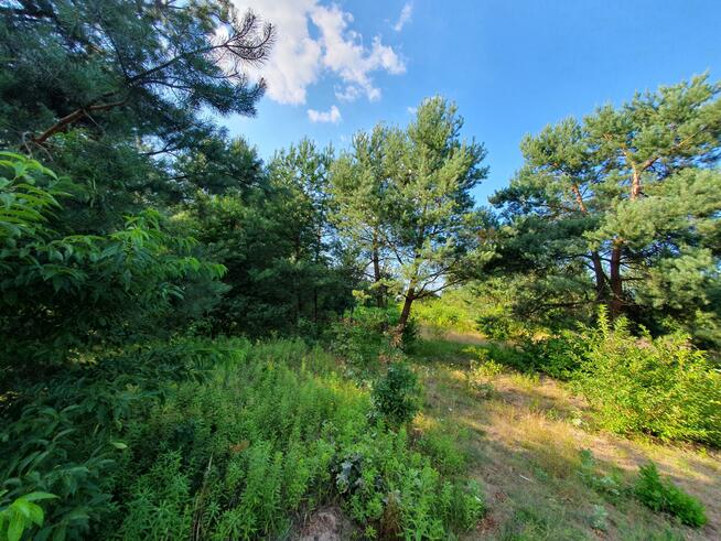 Działka budowlana Stefanówka gm. Wiązowna
