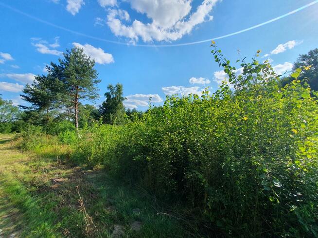 Działka budowlana Stefanówka gm. Wiązowna