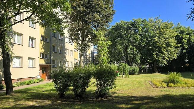2 pokoje, balkon, parter-obok Hanza, po remoncie!