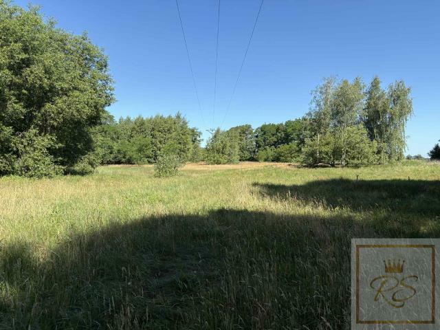 Działka siedliskowa Osowo Stare gm. Oborniki