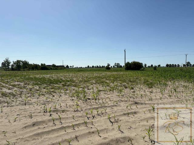 Działka siedliskowa Osowo Stare gm. Oborniki