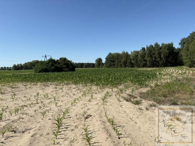 Działka siedliskowa Osowo Stare gm. Oborniki