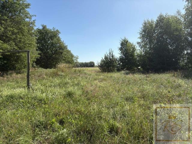 Działka siedliskowa Osowo Stare gm. Oborniki