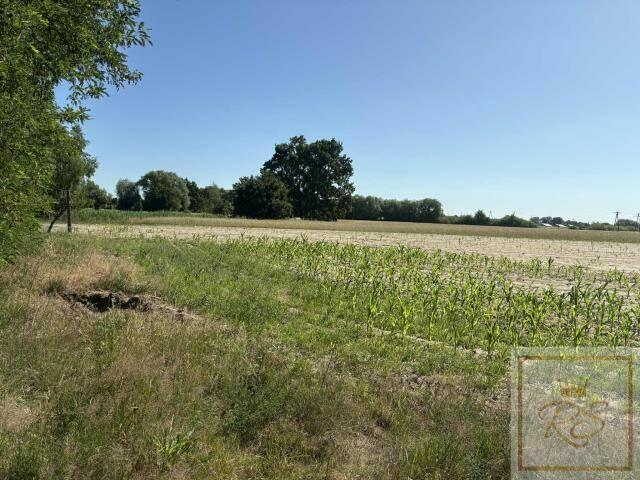 Działka siedliskowa Osowo Stare gm. Oborniki