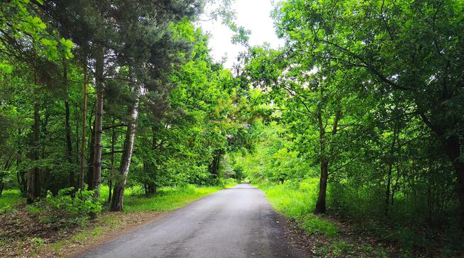 Działka budowlana Grodzisk Mazowiecki