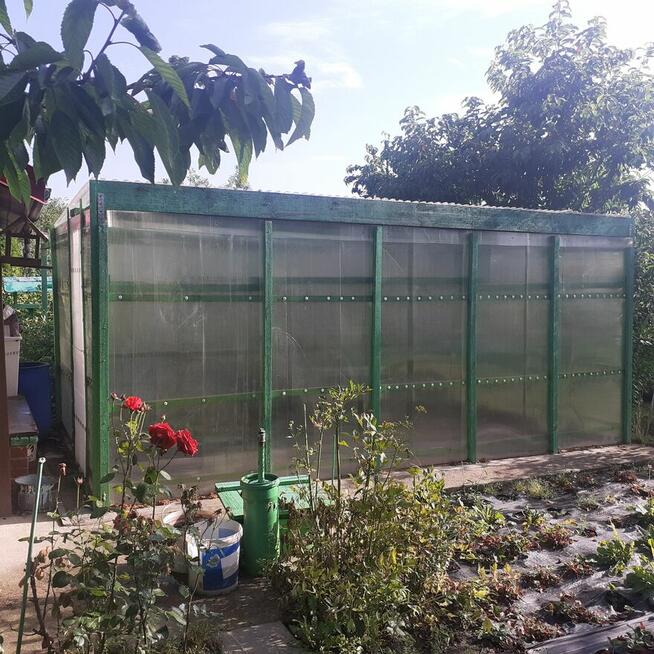 Działka ROD ZORZA w Ziemnicach k/Legnicy (PILNE)