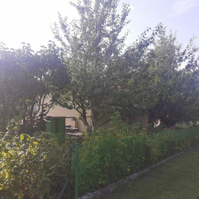 Działka ROD ZORZA w Ziemnicach k/Legnicy (PILNE)