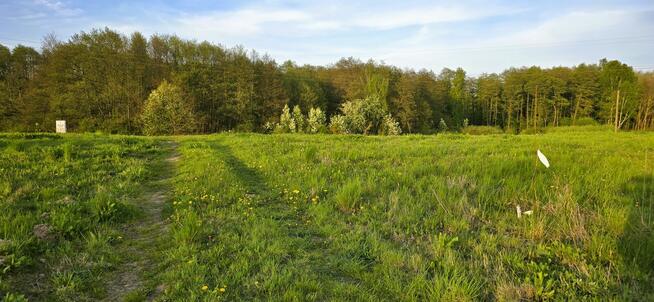 działki w bliskiej okolicy Szczecina
