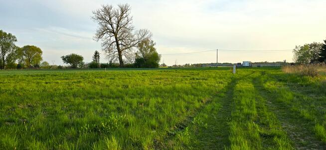 działki w bliskiej okolicy Szczecina