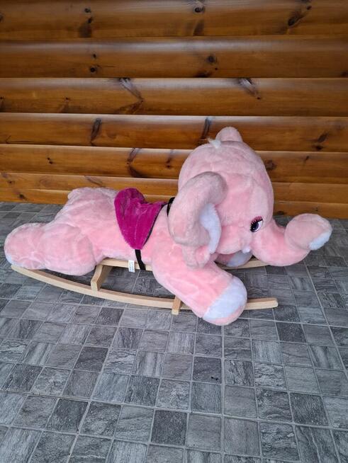 Bujak słonik, piesek