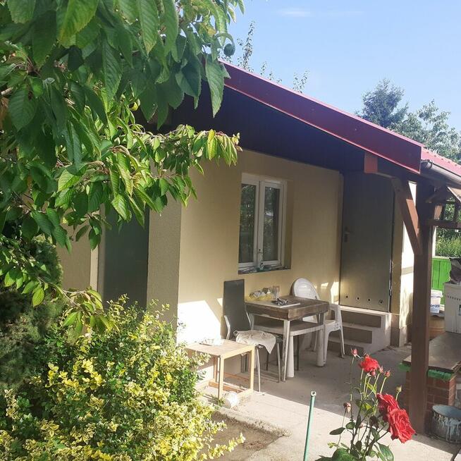 Działka ROD ZORZA w Ziemnicach k/Legnicy (PILNE)