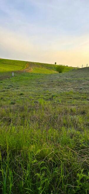 Działka Żarowo okolice Stargardu