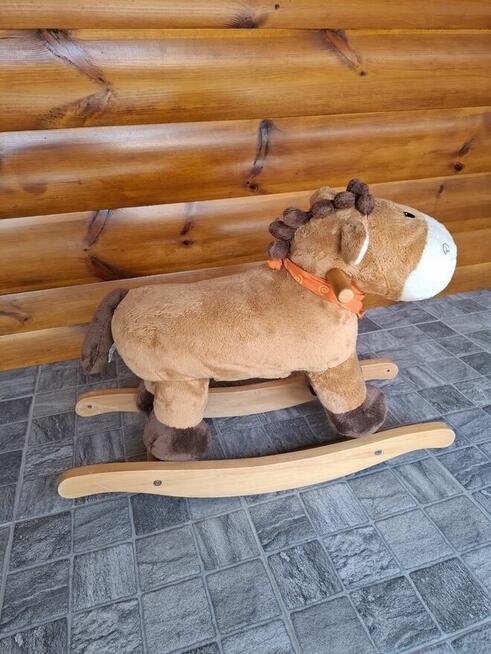 Bujak słonik, piesek