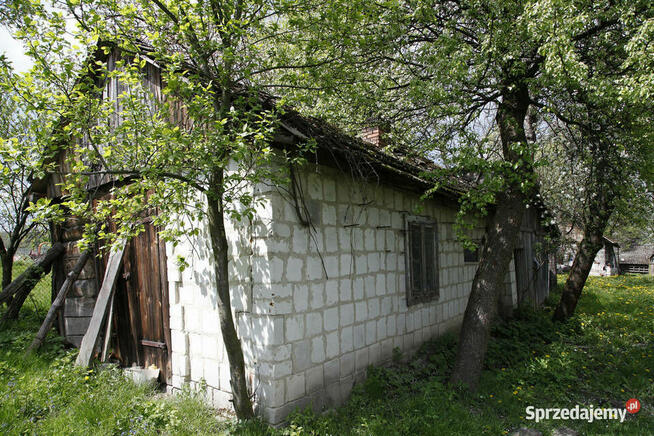 Gospodarstwo z dużą działką, drewniany dom i budynki gosp.