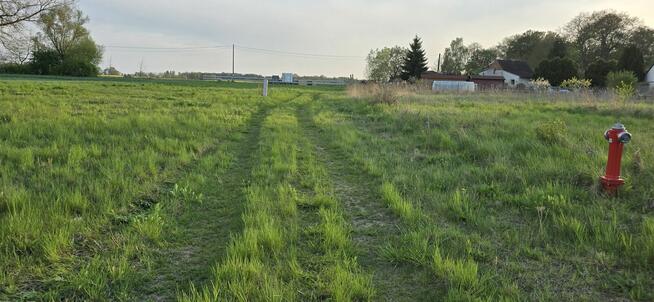 działki w bliskiej okolicy Szczecina