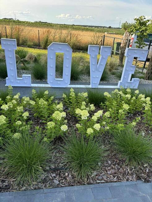 Fotobudka Usługi eventowe