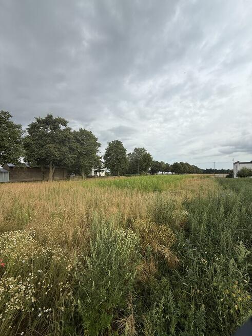 Działka budowlana 2290 m² – Kolonia Sługocin, gm. Lądek