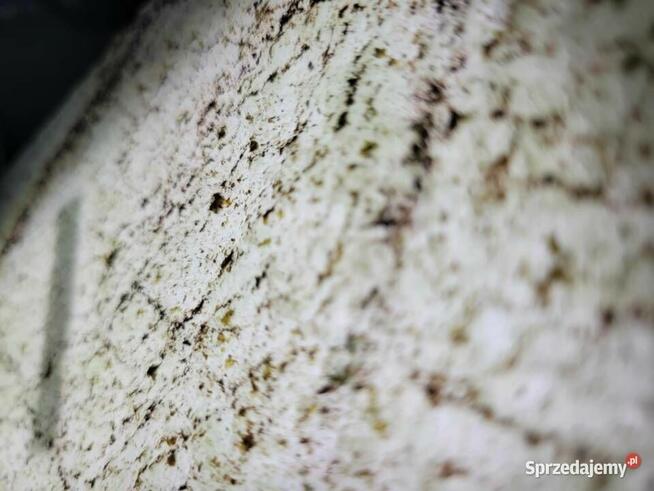 Fornir Transparentny Rainforest Green tapeta 244x122x0,2cm