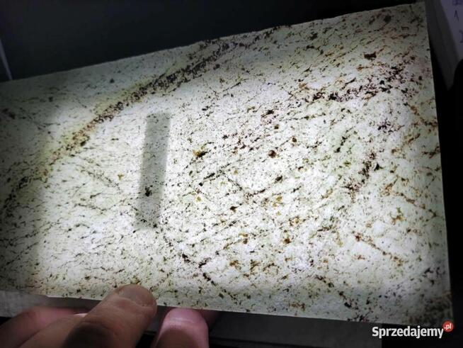 Fornir Transparentny Rainforest Green tapeta 244x122x0,2cm