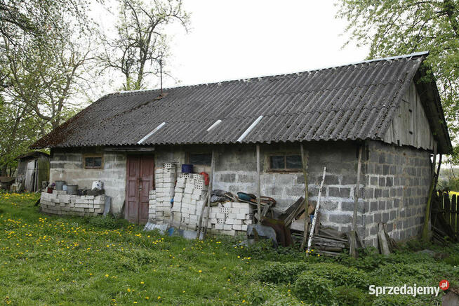 Gospodarstwo z dużą działką, drewniany dom i budynki gosp.