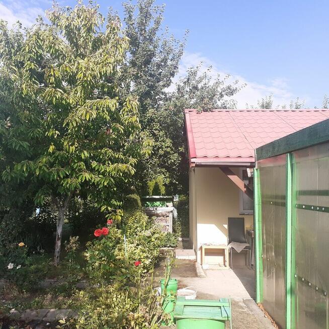 Działka ROD ZORZA w Ziemnicach k/Legnicy (PILNE)