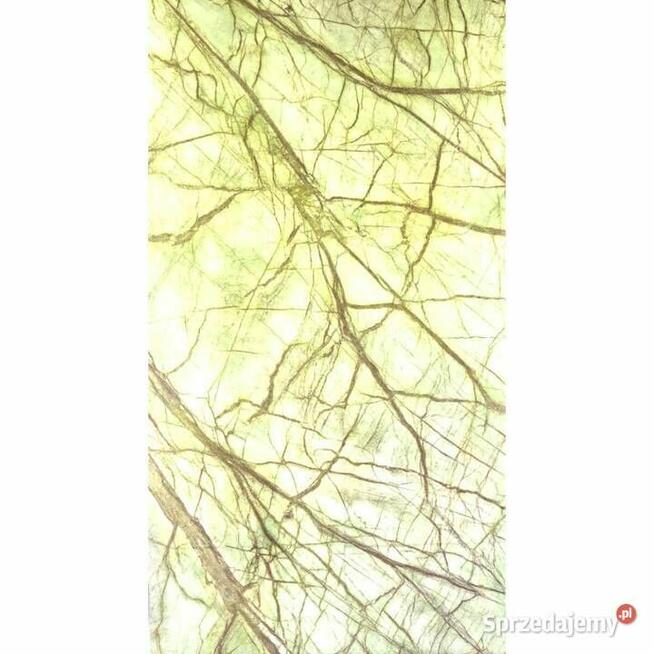 Fornir Transparentny Rainforest Green tapeta 244x122x0,2cm