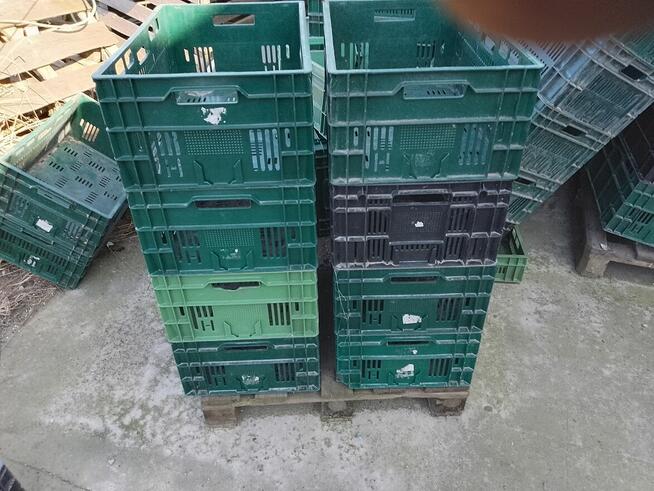 witam ,mam na sprzedanie