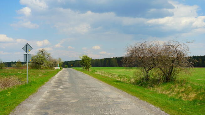 Działka na sprzedaż | pow. 3300 m² | Modrzew, gm. Opoczno