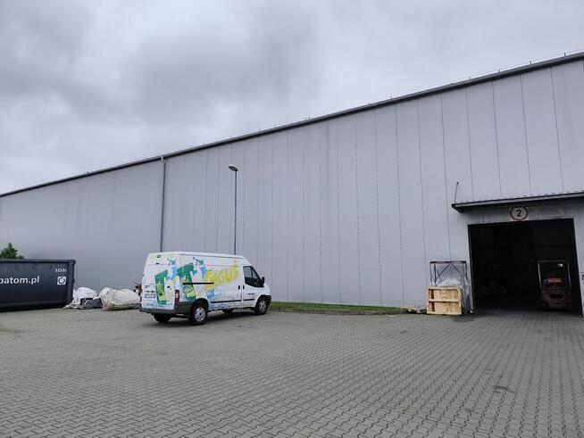 Wynajmę magazyn bądź powierzchnię magazynową wraz z usługą l