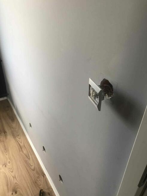 Usługi budowlane /wykończeniowe/złota rączka /transport