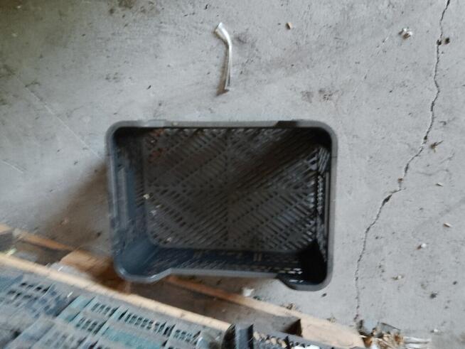 witam ,mam na sprzedanie