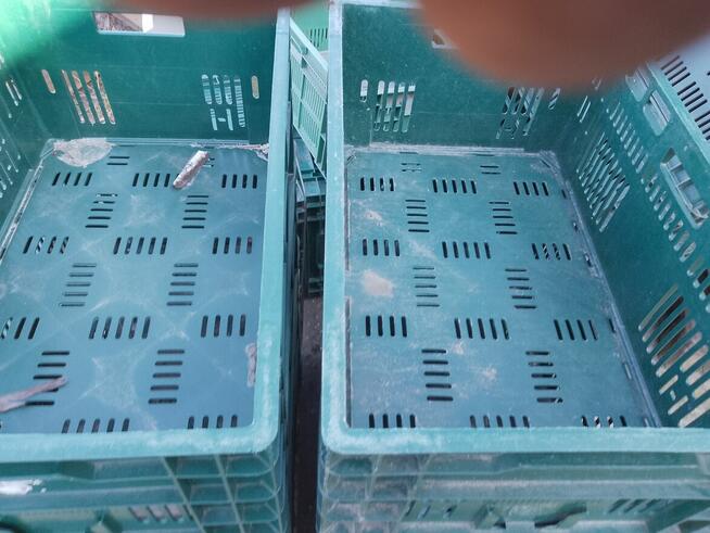 witam ,mam na sprzedanie