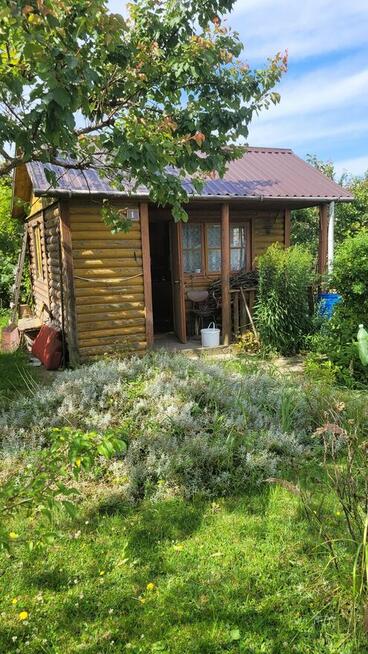 Sprzedam ogródek działkowy