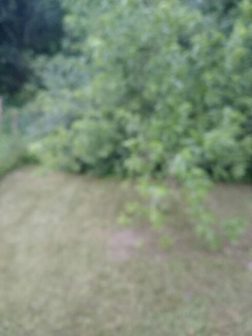 Działka ogrodowa z aktem notarialnym własnościowym