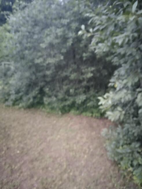 Działka ogrodowa z aktem notarialnym własnościowym