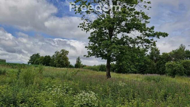 Przestronna działka 3 735 m² na Warmii i Mazurach