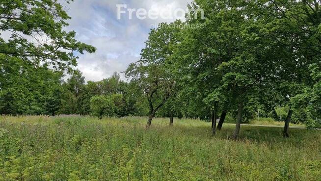 Przestronna działka 3 735 m² na Warmii i Mazurach