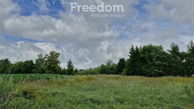 Przestronna działka 3 735 m² na Warmii i Mazurach