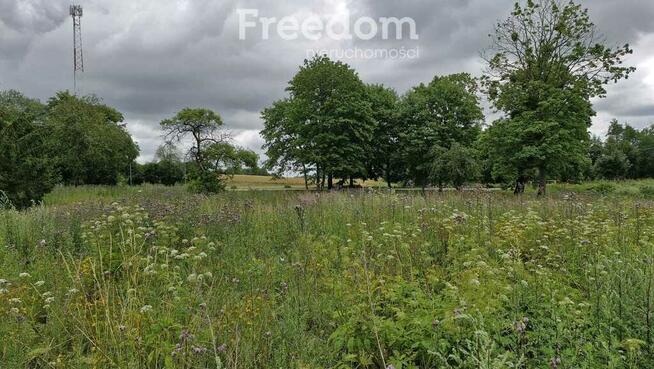 Działka 3 217 m² – cisza i las w zasięgu