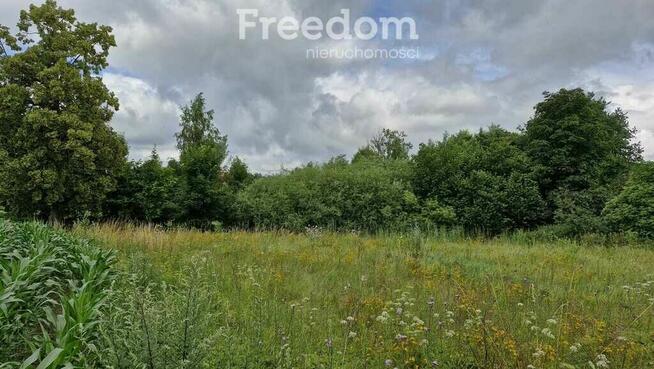 Działka 3 217 m² – cisza i las w zasięgu