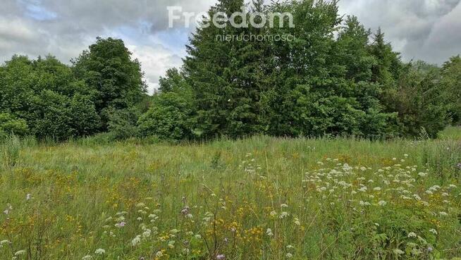 Działka 3 217 m² – cisza i las w zasięgu