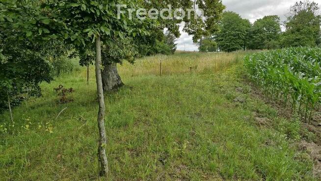 Działka 3 217 m² – cisza i las w zasięgu