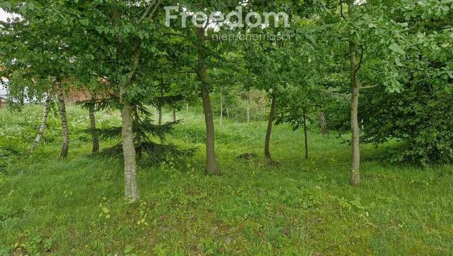 Działka 3 217 m² – cisza i las w zasięgu