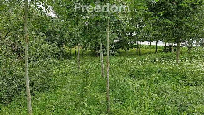 Działka 3 217 m² – cisza i las w zasięgu