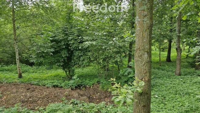 Działka 3 217 m² – cisza i las w zasięgu