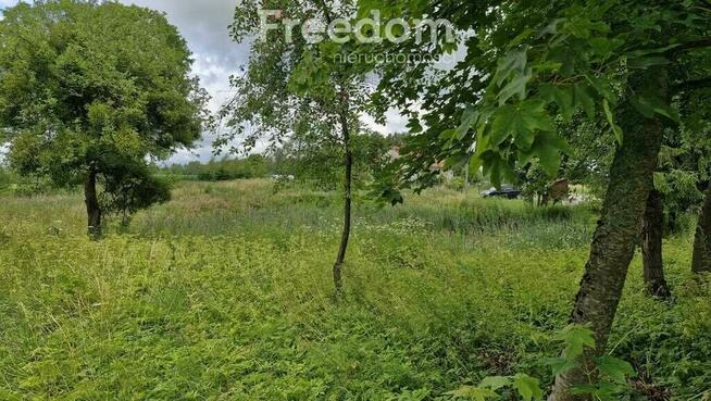 Spokojna działka 3 128 m² wśród lasów