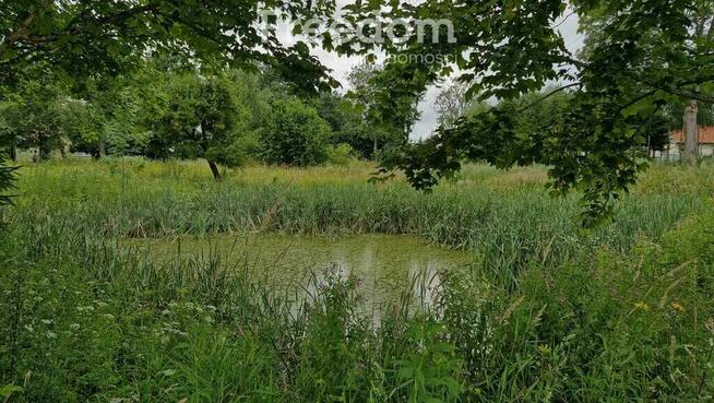 Spokojna działka 3 128 m² wśród lasów