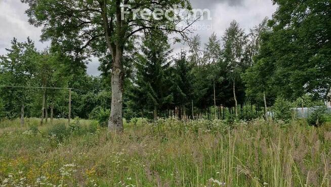 Spokojna działka 3 128 m² wśród lasów